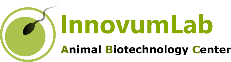 InnovumLab